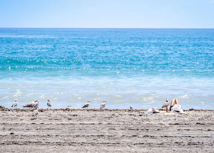 Appartement Portside Paradise - 2-bedroom Steps From The Marina Estepona